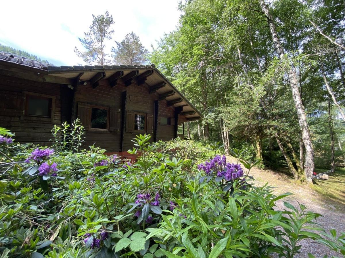 Le Fishing Lodge Chalet En Bois Avec Bain Nordique La Bresse Ngoại thất bức ảnh