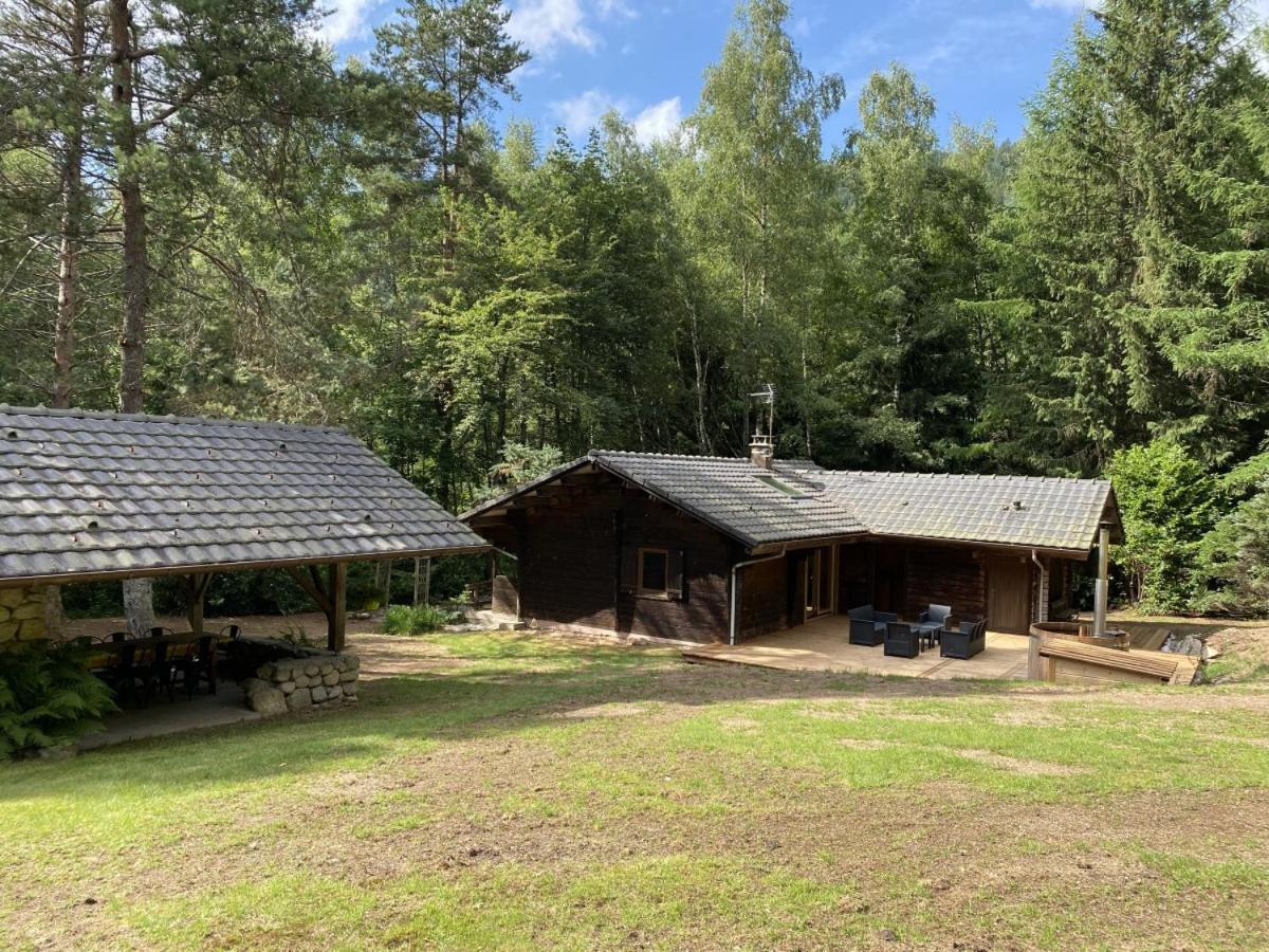 Le Fishing Lodge Chalet En Bois Avec Bain Nordique La Bresse Ngoại thất bức ảnh